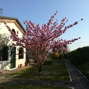 https://casa-pianta.hotelinveneto.com